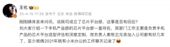 这事是应？向大师引见一下手机产物部的芯片平